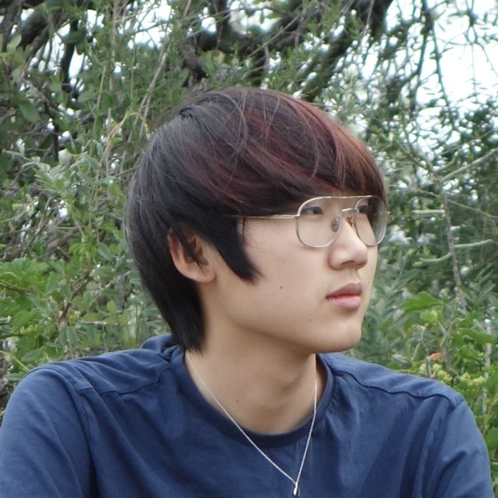 Austin Chen